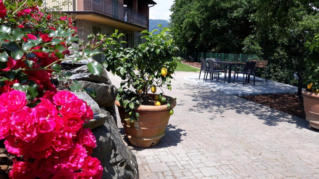 Podere Saranna Pescia Eksteriør bilde
